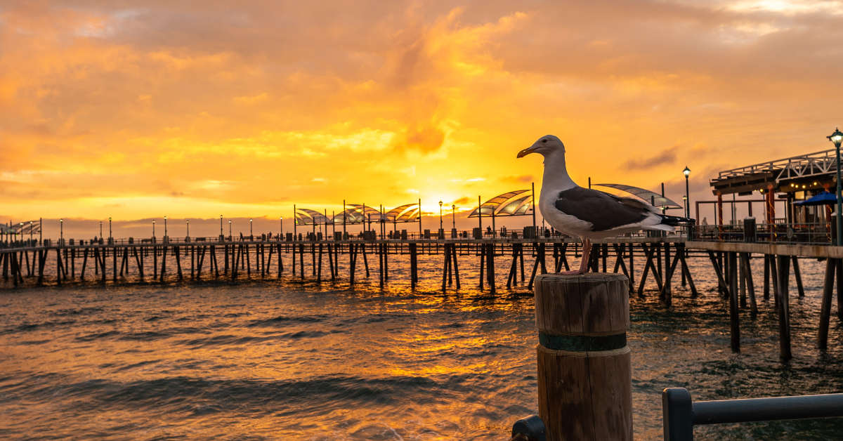 moving to Torrance, CA