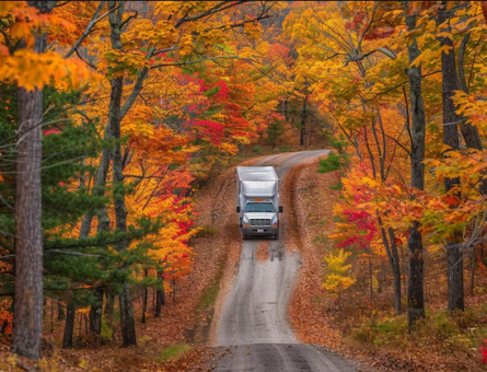 All Service Moving & Storage Fall Moving Tips